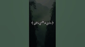 #القرآن_الكريم #اكسبلور #ذكر_الله #لايك #تلاوة_خاشعة #تلاوة #راحة_نفسية #حالات_واتس #القرآن