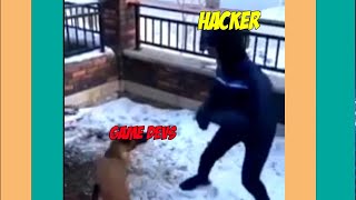 Game Developers Vs Hack*R 🔥 / Funny Meme