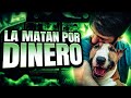 Estos YOUTUBERS SACRIFICARON a su perro por VISITAS