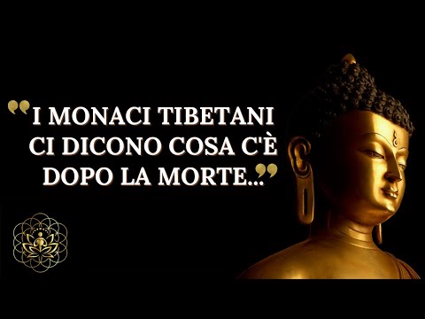 Video: Perché il monachesimo buddista è importante?