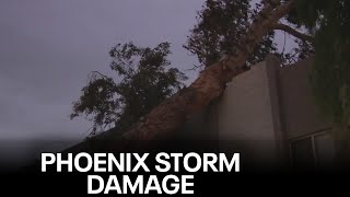 A look at storm damage from around the Phoenix area