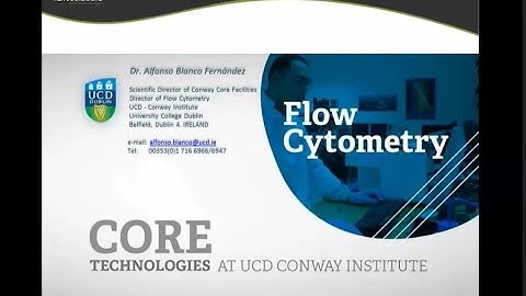 Time – The Forgotten Parameter in Flow Cytometry