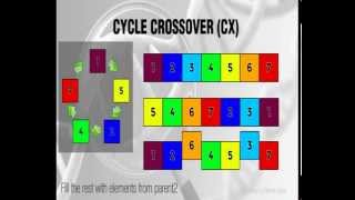 Cycle Crossover - CX - Genetic Algorithms