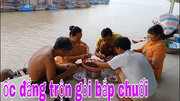 Vào Vườn Bỏ Hoang Hái Bắp Chuối Về Làm Món Ốc Đắng Trộn Gỏi Bắp Chuối # SĂN BẮT ĐỒNG THÁP #