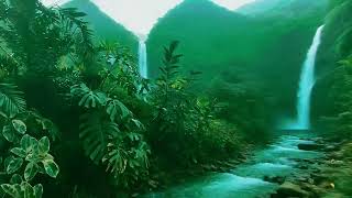 GENTLE NATURE MUSIC 🌲 BEAUTIFUL RELAXING PIANO FOR NERVOUS SYSTEM RECOVERY 💚🎹
