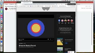 Email Microbreak Delivery Player Experience