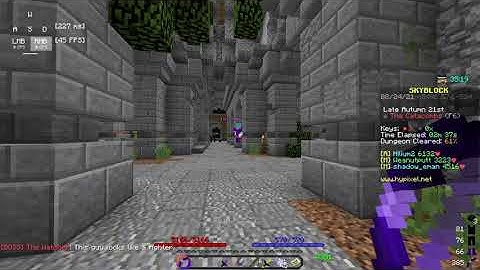 Bullying Lost Adventurers with Juju Shortbow (Hypixel Skyblock)