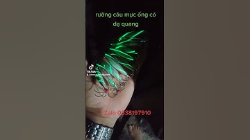 rường câu mực ống có dạ quang.Các mẫu 10g,15g,20g,25g,30g,35g....100gam.
