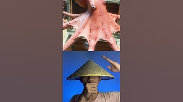 Thumbnail of Kaki gurita di potong #facts #science #automobile #animals #wildlife #animasi #crabgrass #memes