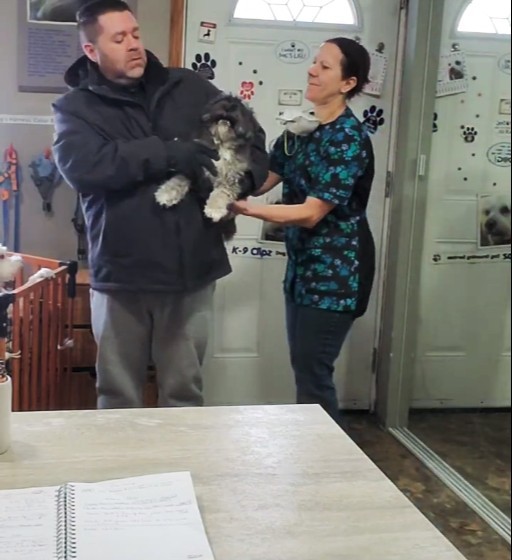 Photo inspiration: Picture Idea: Transferring A Very Anxious Dog From Owner To Groomer Pomeranian