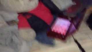 IMG 1430 MOV