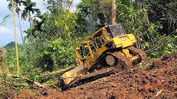 The Fastest Way CAT D6R XL Dozer Clearing Forest and Make Plantation Step by Step