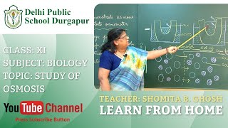 CLASS XI | TOPIC: STUDY OF OSMOSIS | BIOLOGY | LAB | DPS DURGAPUR