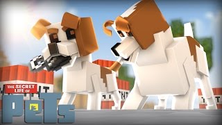 Minecraft  WHO'S YOUR DADDY?  O BEBÊ CACHORRINHO PESTINHA ( PETS O FILME )