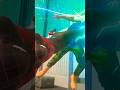 #spiderman #youtubeshorts  NO ESCAPE: MILES STOPS THE (INTRUDERS) BEFORE THEY GET INSIDE  !!!