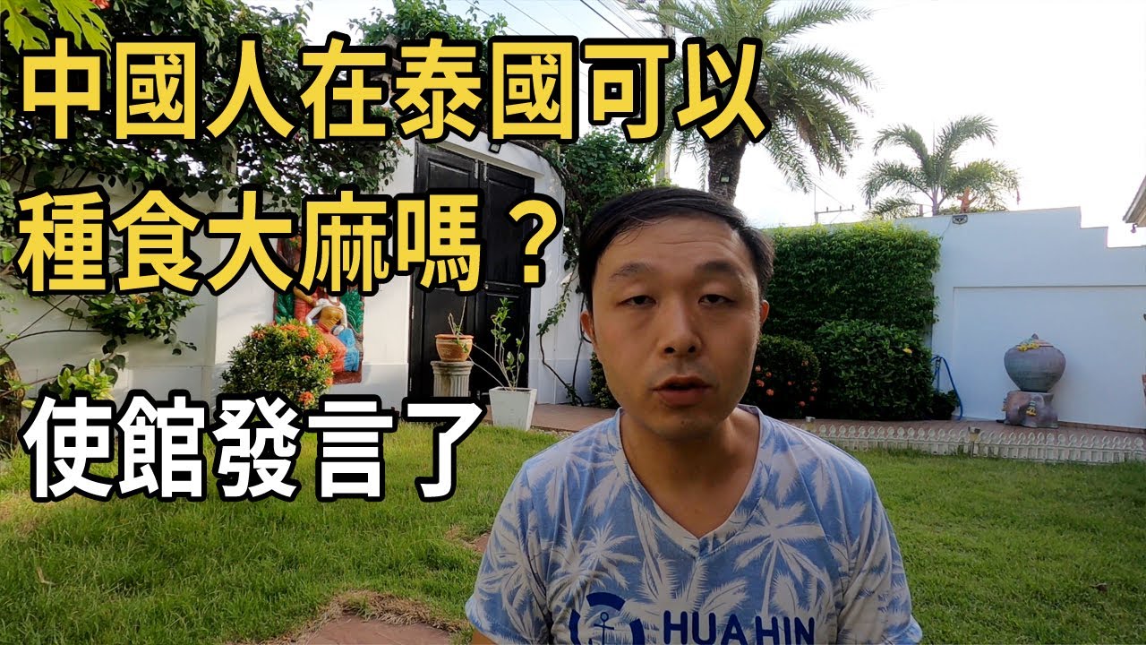 中國人在泰國可以種植、持有、食用大麻嗎？駐泰使館發言了 | 泰國可以摘口罩了！
