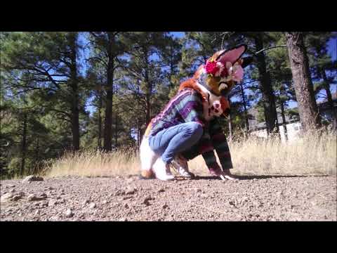 (Attempting) Quadrobic Running and Jumping