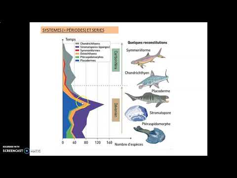 Vidéo: Comment les fossiles ont-ils été utilisés pour définir et identifier la subdivision de l'échelle des temps géologiques ?