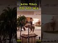 አስቻለው ለንጉስ ምኒሊክ 