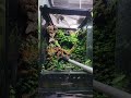 天むすとわいの日常風景