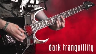 Dark Tranquillity Therein Full Instrumental Dual Guitar Cover (HD sound & Image)