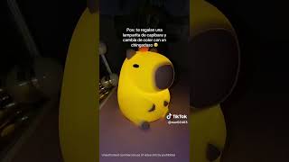cuando te regalan un capybara lámpara #capybara #capybaratiktok
