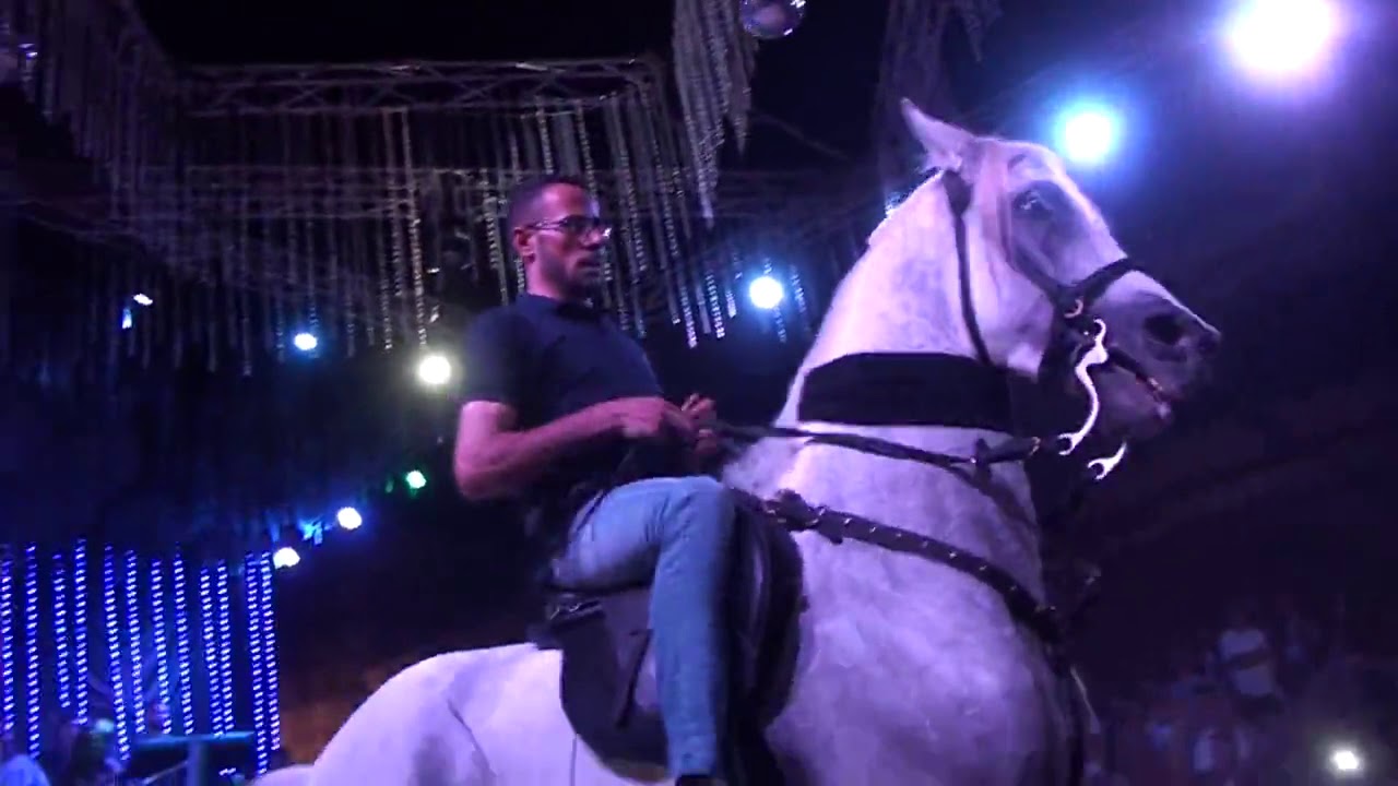 اكرم حسن رقص الحصان المهيب