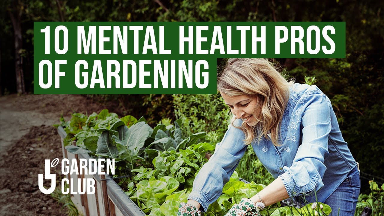 10 Ways Gardening Can BOOST Your MENTAL HEALTH – Surprising Benefits ...