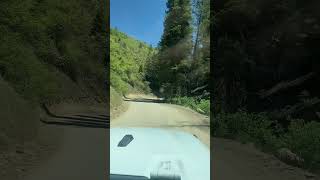 Quick camping getaway with @TheNAkkids #mountains #nature #jeep