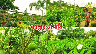 উত্তরায় সবচেয়ে বড় নার্সারি | Tree nursery in dhaka |