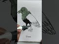 Don’t scroll… this crow coloring turned out amazing 🖤✨ #shorts