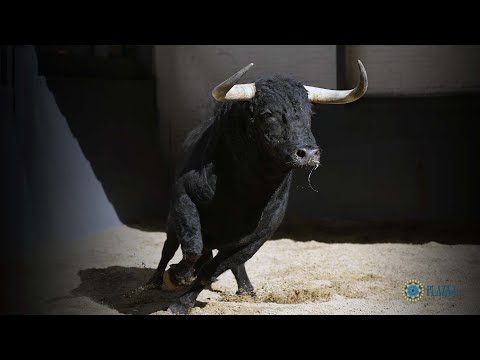 SORTEO | Corrida toros 26 mayo, Juan Pedro Domecq