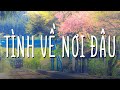 Tình Về Nơi Đâu - Những Bản Acoustic Cover Nhẹ Nhàng Nghe Là Nghiện 2023