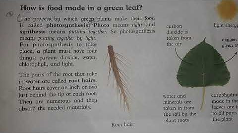 Class 6th unit 4 Photosynthesis and respiration in plant