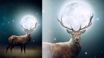 Photoshop Manipulation Deer Fantasy Tutorial