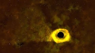 TESS Catches its First Star-destroying Black Hole
