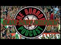 The Burrow Podcast - Blake Solly Interview