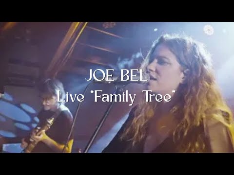 JOE BEL - Live "Family Tree"
