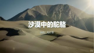 Video thumbnail of "沙漠中的駱駝"