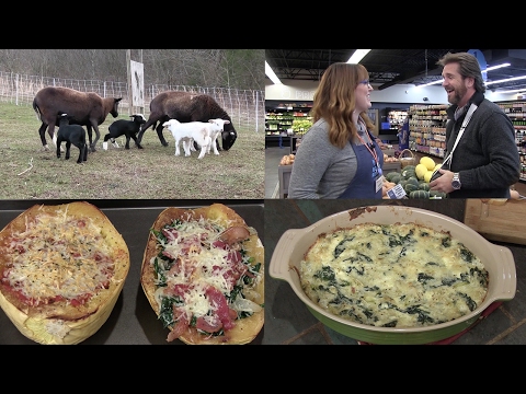 Spaghetti Squash (2 Ways!) Spinach/Artichoke Dip, and Baby Lambs (Episode #404)