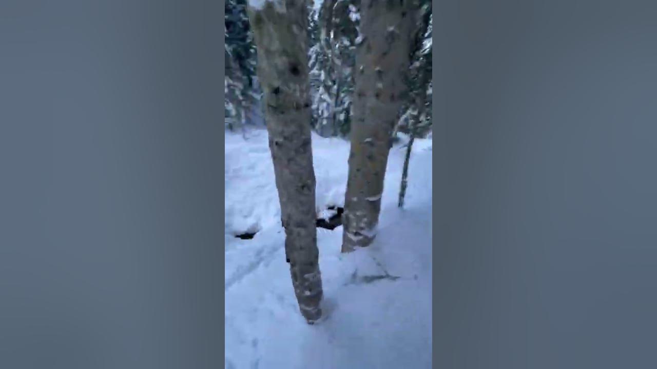Архыз фрирайд