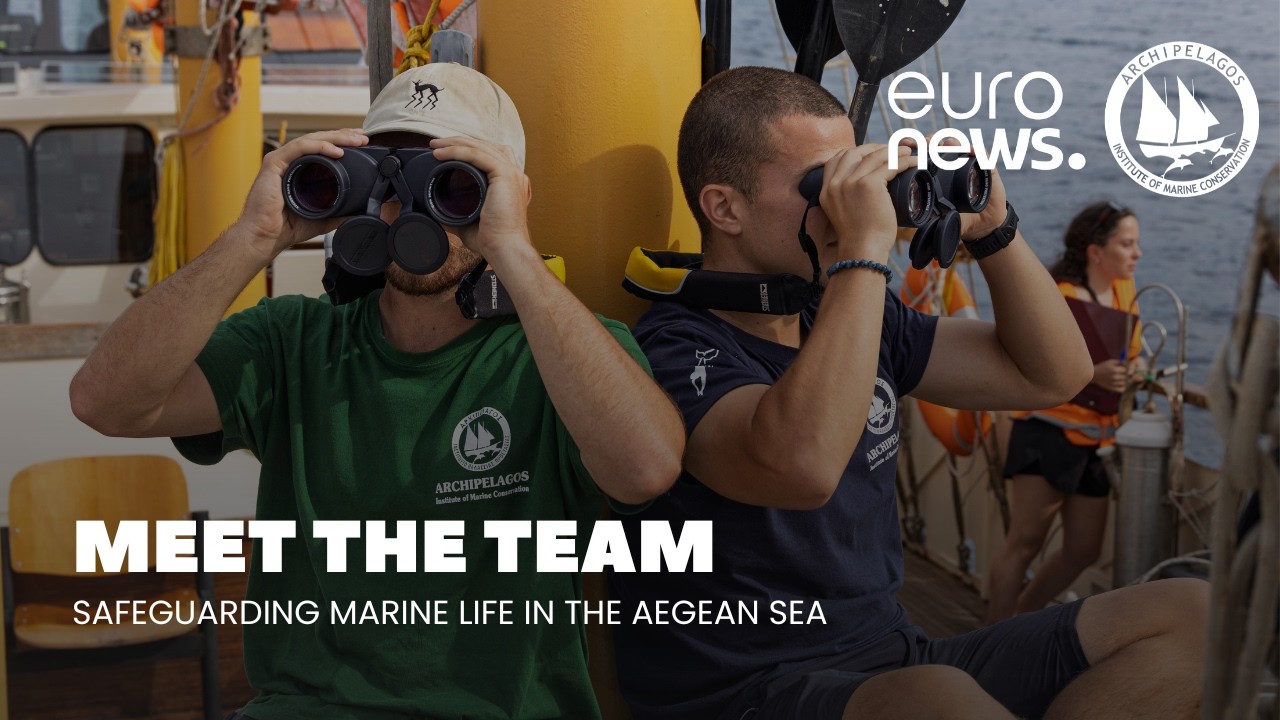 The team safeguarding endangered marine life in the Aegean Sea
