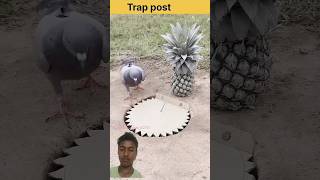 #Trap post. #shorts #trap #funny #comedy #b