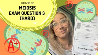 Meiosis Exam Question 4 (HARD) | Getting an A+ in every exam
