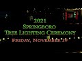 Christmas in Springboro Tree Lighting 2021