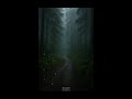 Deep Sleep ASMR🌙 Rain &amp; Wind | Black Screen | 10 Hours