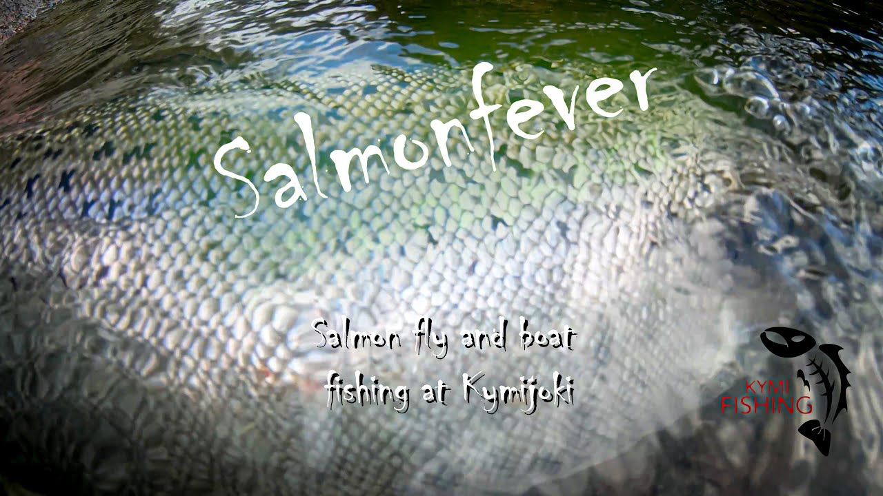 [EngSub] Lohen soutu- ja perhokalastusta Kymijoella - Salmon fly and boat fishing at Kymijoki