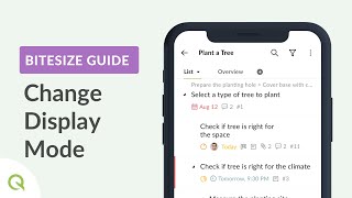 Quire Bitesize Guide: Change Display Mode