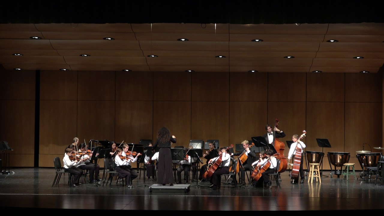 Detroit MYS, Junior String Orchestra, Music is the Solution by Junior