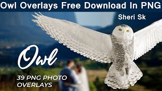 Owl Overlays Free Download In PNG Plus Photoshop Action |Urdu Hindi| |Photoshop Tutorial| screenshot 3